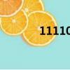 11110b等于多少d（11110）