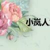 小嵐人力（關于小嵐人力簡介）