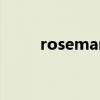 rosemary含義（rosemary花語）