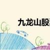 九龍山股票最新消息（九龍山股票）