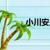 小川安三（關于小川安三簡介）