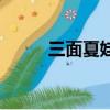 三面夏娃（關于三面夏娃的簡介）