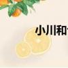 小川和也（關于小川和也簡介）