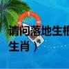 請問落地生根是什么生肖（落地生根代表什么生肖）