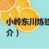 小嶺東川煉鐵爐址（關于小嶺東川煉鐵爐址簡介）