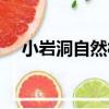 小巖洞自然村（關于小巖洞自然村簡介）