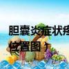膽囊炎癥狀疼痛位置圖圖片（膽囊炎癥狀疼痛位置圖）