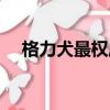 格力犬最權威交易論壇（格力犬交易區）
