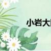 小巖大隊（關于小巖大隊簡介）