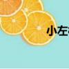 小左村（關于小左村簡介）
