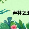 聲林之王（關于聲林之王的簡介）