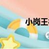 小崗王村（關于小崗王村簡介）