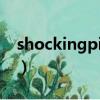 shockingpink（關于shockingpink的簡介）
