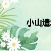 小山遺址（關于小山遺址簡介）