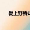 愛上野豬妹（關于愛上野豬妹的簡介）