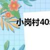 小崗村40年（關于小崗村40年簡介）