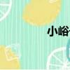小峪子（關于小峪子簡介）