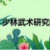 少林武術研究院（關于少林武術研究院簡介）