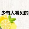 少有人看見的美（關于少有人看見的美簡介）