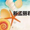 新孟麗君（關于新孟麗君的簡介）