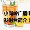 小崗嶺廣播電視發射臺（關于小崗嶺廣播電視發射臺簡介）
