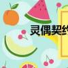 靈偶契約（關于靈偶契約的簡介）