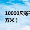 10000尺等于多少平方（1000尺等于多少平方米）