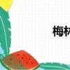 梅林（關于梅林的簡介）