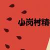 小崗村精神（關于小崗村精神簡介）