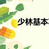 少林基本功（關于少林基本功簡介）
