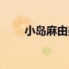 小島麻由美（關于小島麻由美簡介）