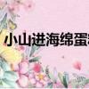 小山進海綿蛋糕（關于小山進海綿蛋糕簡介）