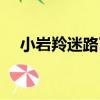 小巖羚迷路了（關于小巖羚迷路了簡介）