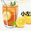 小左殿（關于小左殿簡介）