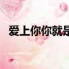 愛上你你就是我的唯一（愛上你就是唯一）