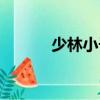 少林小子（關于少林小子簡介）