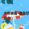 少年駭客-變身忍者修改版（關于少年駭客-變身忍者修改版簡介）