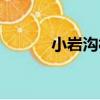 小巖溝村（關于小巖溝村簡介）