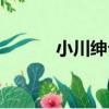 小川紳介（關于小川紳介簡介）