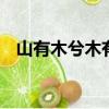 山有木兮木有枝 心悅君兮君不知是哪首歌