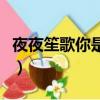 夜夜笙歌你是笙歌我是夜太寂寞了（夜夜笙歌）