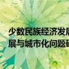 少數民族經濟發展與城市化問題研究（關于少數民族經濟發展與城市化問題研究簡介）