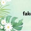 fake（關于fake的簡介）