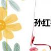 孫紅堯（關于孫紅堯介紹）