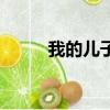 我的兒子（關于我的兒子的簡介）