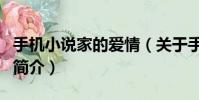 手機小說家的愛情(關于手機小說家的愛情的簡介)