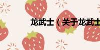 龍武士(關于龍武士的簡介)
