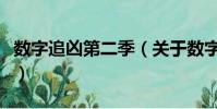數字追兇第二季(關于數字追兇第二季的簡介)