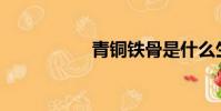 青銅鐵骨是什么生肖?