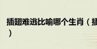 插翅難逃比喻哪個生肖(插翅難逃是什么生肖)